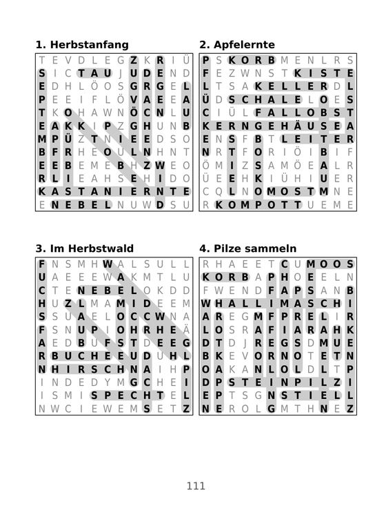 Buchseite 111: Lösungen
